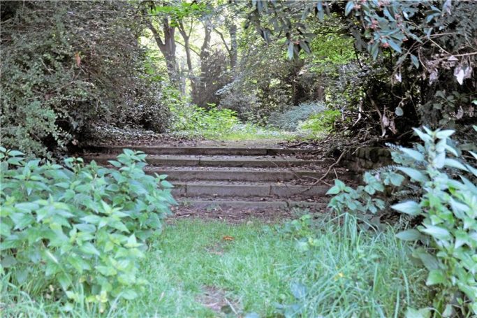 Treppe mit Blick zum Teich