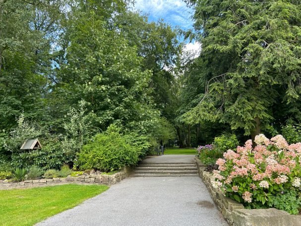 Treppe mit Blick zum Teich